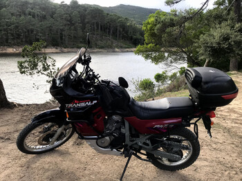 transalp 600