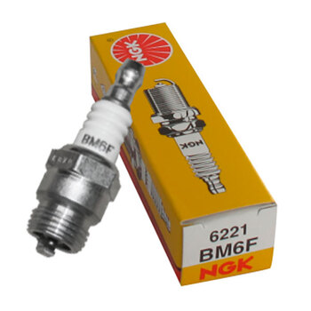 Bujía NGK BM6F - 6221