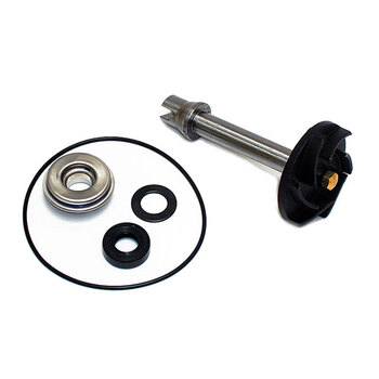 Kit Reparación Bomba De Agua Piaggio MP3 500