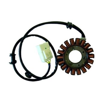 Stator S-Wing 125-150 2013