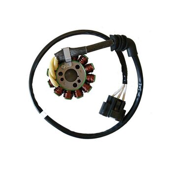 Stator Yamaha FZ8