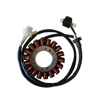 Stator Yamaha FZS 600 Fazer