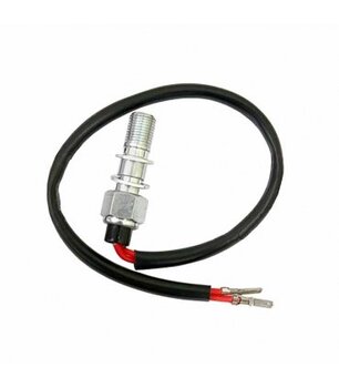 Tornillo sensor Freno Doble 10X1.00