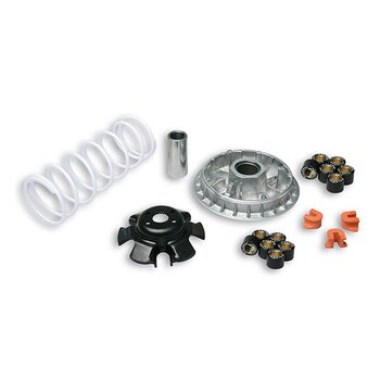 Variador Malossi Superdink 300 SK60A