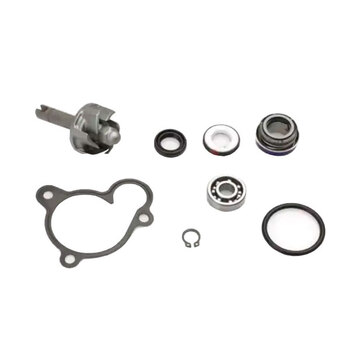Kit reparacion bomba M/Y YP 250/270cc. - AA00806
