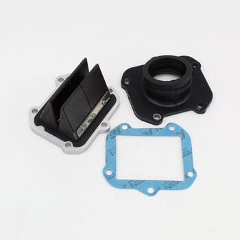 Caja láminas Carbono Aprilia RS 125 (Rotax 122) Co