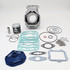 Cilindro Completo Italkit Aprilia RS 125 (Rotax 12