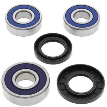 Kit de rodamientos rueda All Balls 25-1257