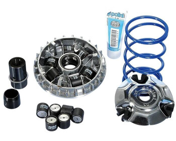 Variador Polini Derbi GP1 125 2005-2009