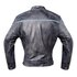Chaqueta Invictus Dedalo Vintage  Gris